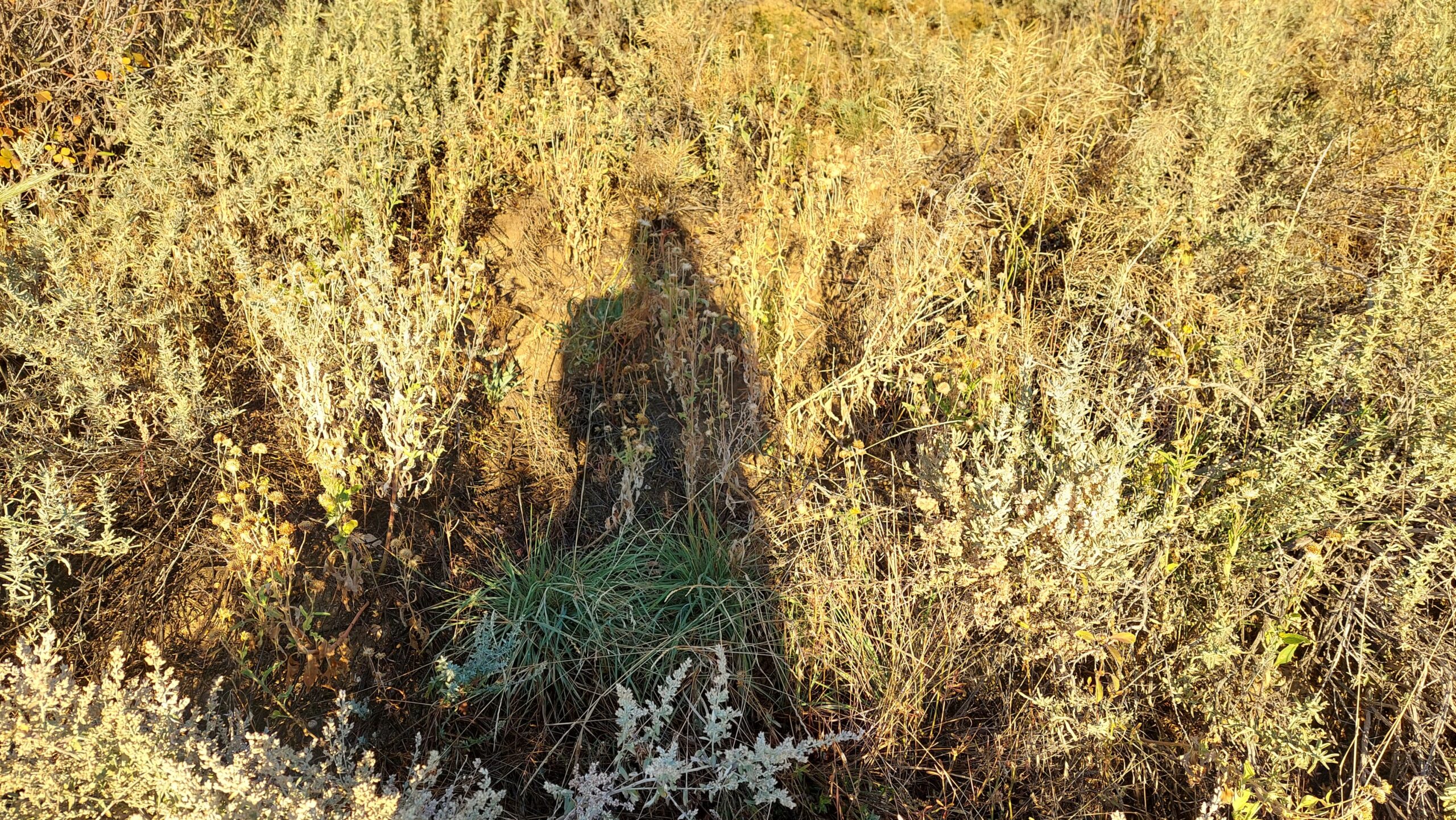 Poem: Faith Reflections (2025)